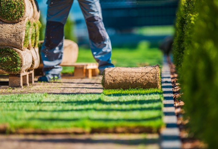 Landscaping-Services-Bellevue-WA