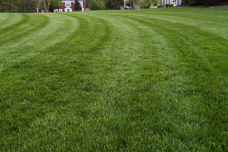 Lawn-Care-Auburn-WA