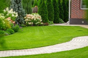 Outstanding Black Diamond lawn care in WA near 98010