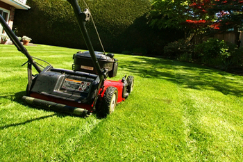 Schedule Black Diamond lawn maintenance with us in WA near 98010