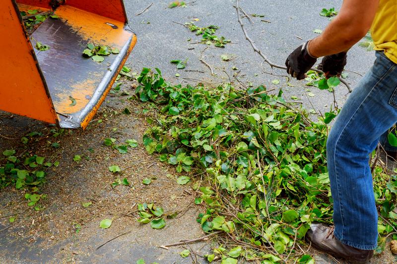 Best Buckley yard debris removal in WA near 98321