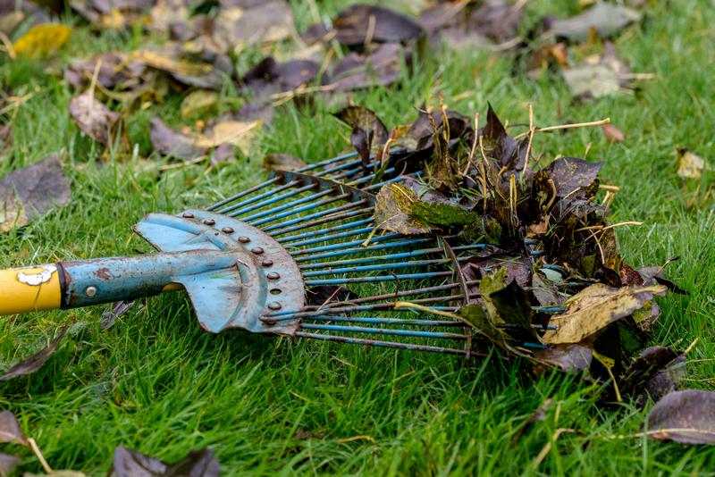 Yard-Debris-Removal-Burien-WA