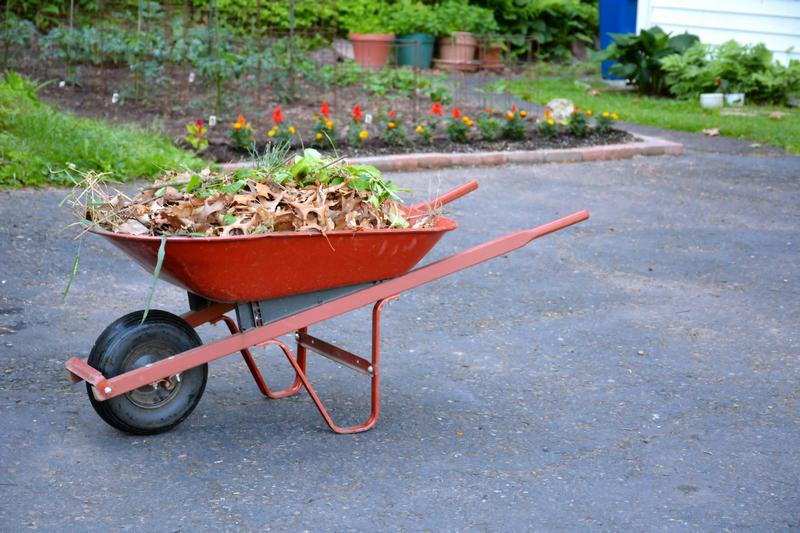 Outstanding Issaquah debris removal in WA near 98029