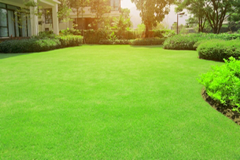 Outstanding Fall City lawn care in WA near 98024