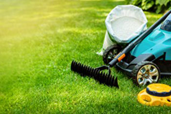 Exceptional Fall City lawn maintenance service in WA near 98024