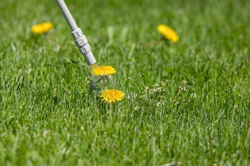 Lawn-Treatment-Service-Enumclaw-WA