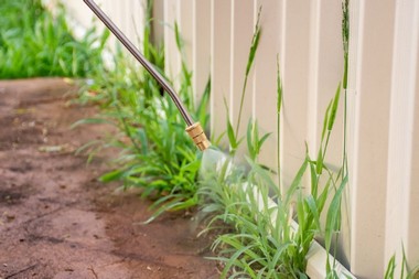 Weed-Control-Fall-City-WA