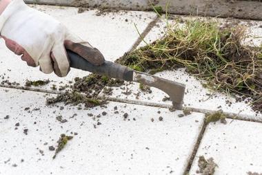 Weed-Control-Federal-Way-WA