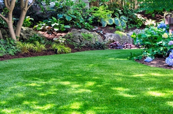 Outstanding Clyde Hill lawn care in WA near 98004