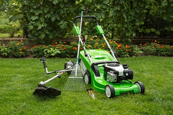 Schedule Ravensdale lawn maintenance with us in WA