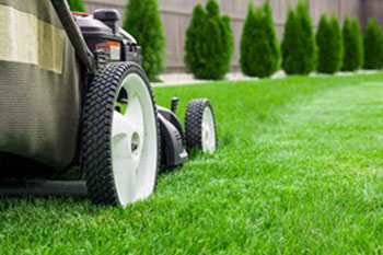 Exceptional Clyde Hill lawn maintenance service in WA near 98004