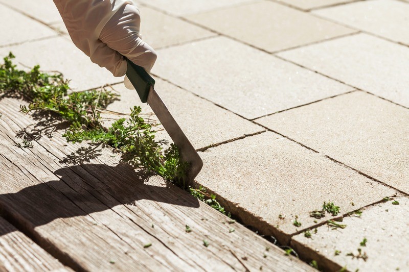 Weed-Control-Browns-Point-WA