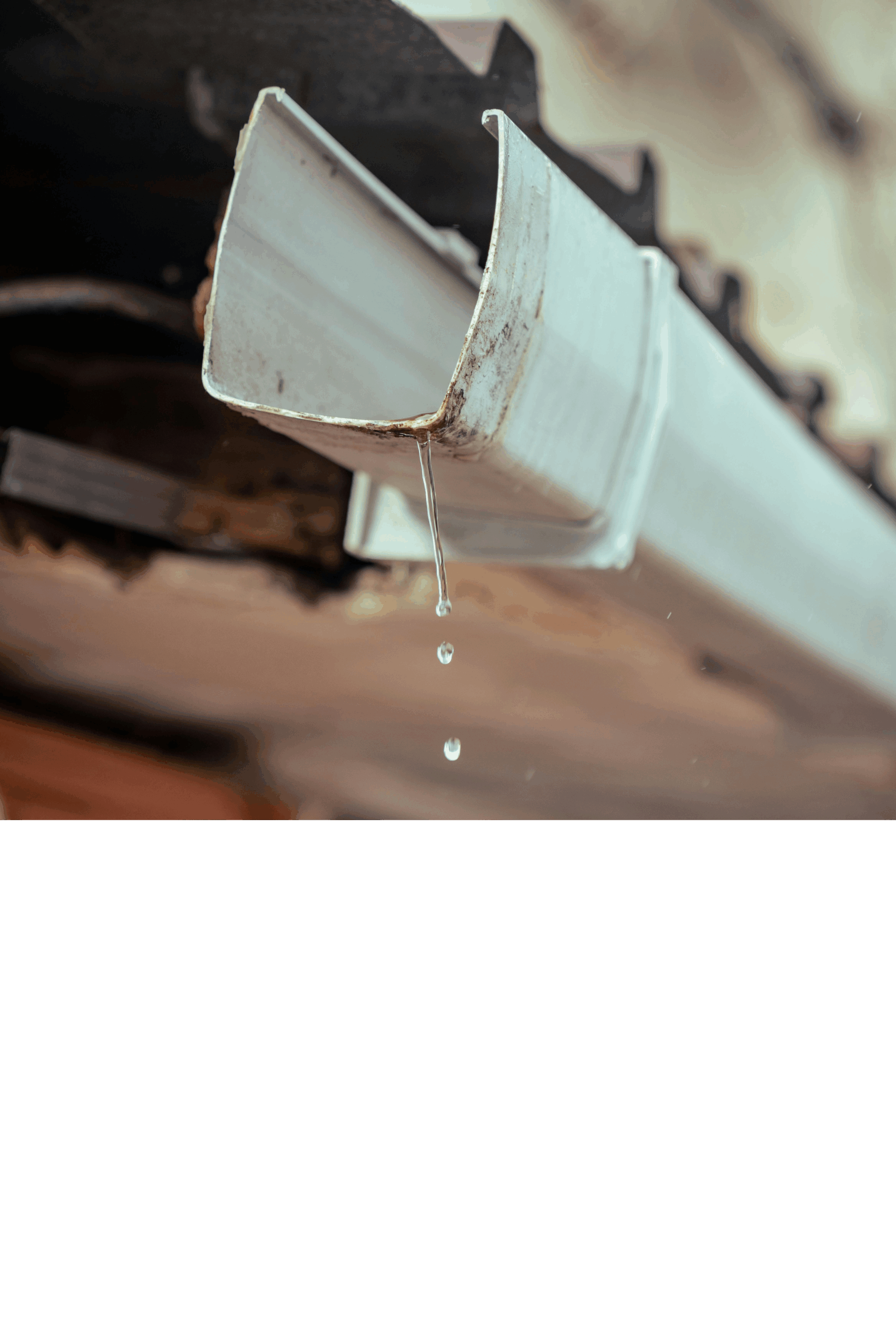 Lakeland South Gutter Repair