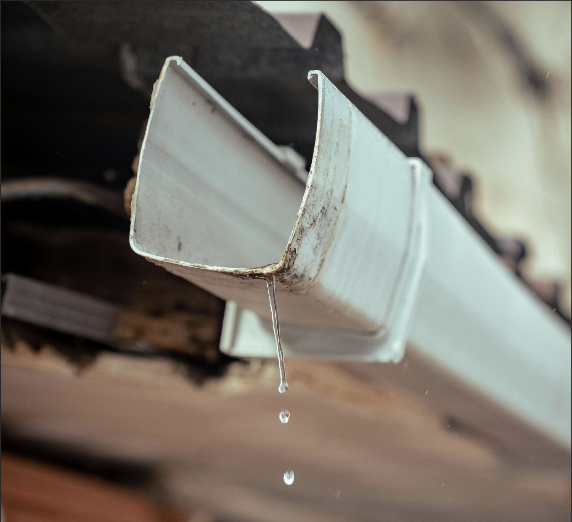 Seattle Gutters
