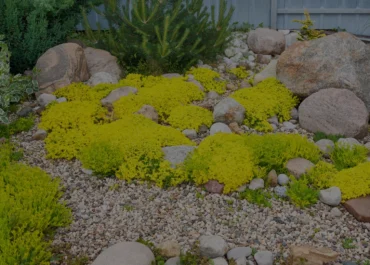 Decorative Gravel Ideas for Seattle Yards