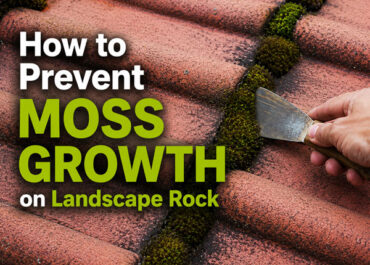 How to Prevent Moss Growth on Landscape Rock