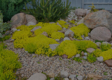 Rock Pathways: Design and Installation Tips
